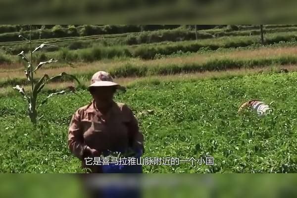 不丹集市能买到哪些惊喜？pg电子仅需10元！你在(图8)